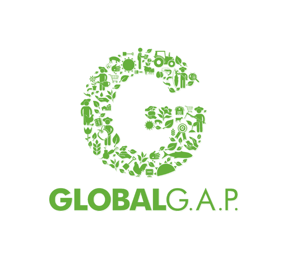 Global Gap